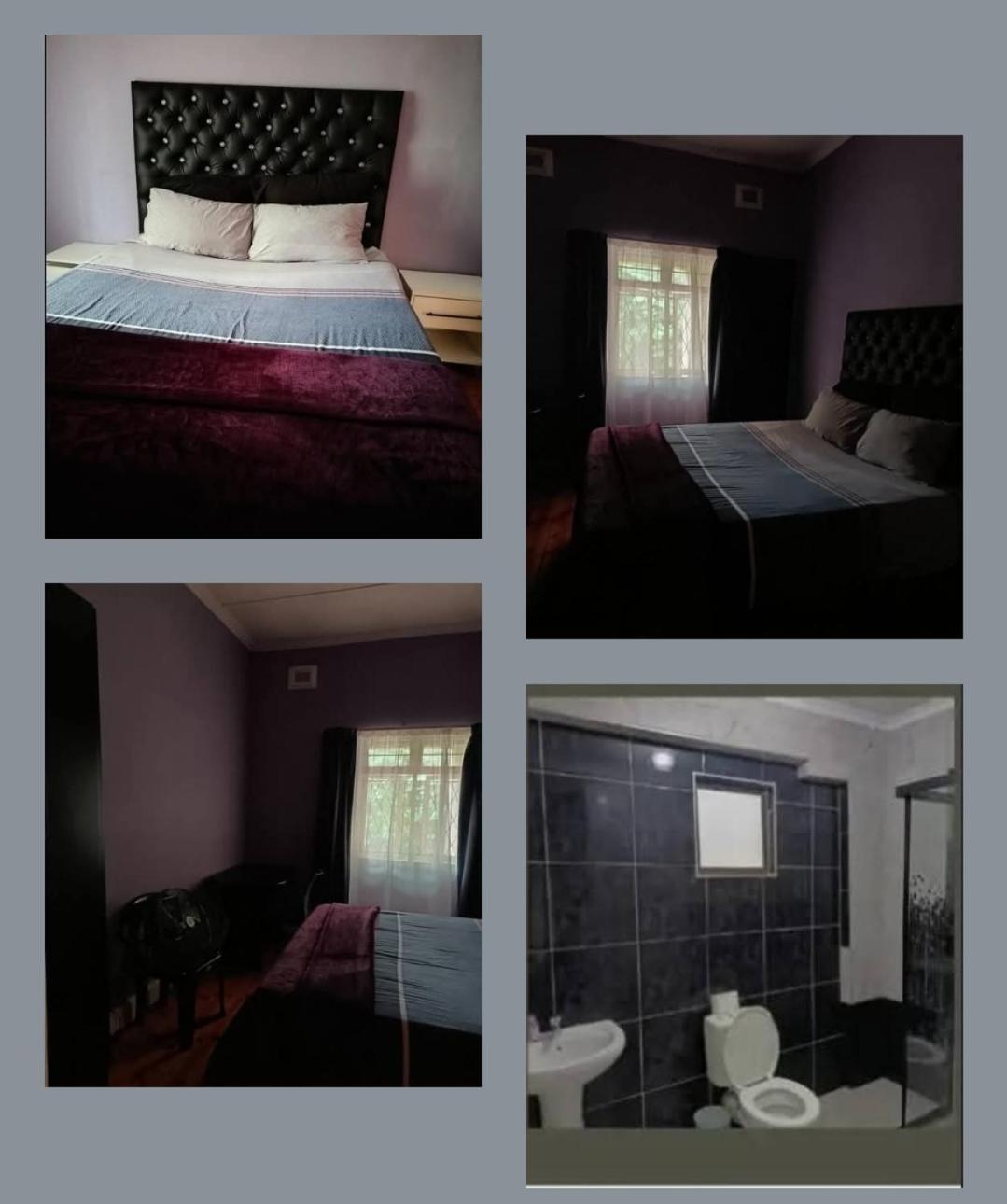 Pmb Backpackers Lodge Pietermaritzburg Ngoại thất bức ảnh